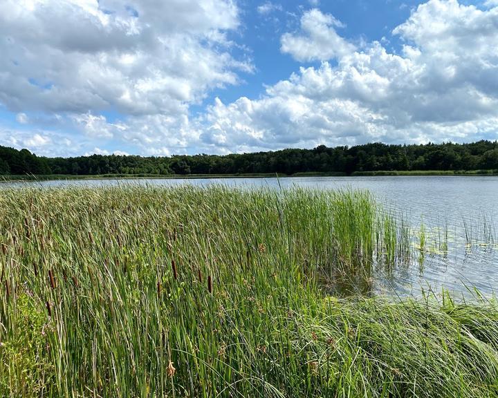 Blockhaus am Wolzensee