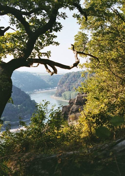 Nassauer Hof Loreley